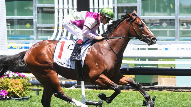 Coleman and jockey Ben Melham will take the perfect winning record into Saturday’s Blue Diamond Stakes at Caulfield. Picture: Racing Photos via Getty Images