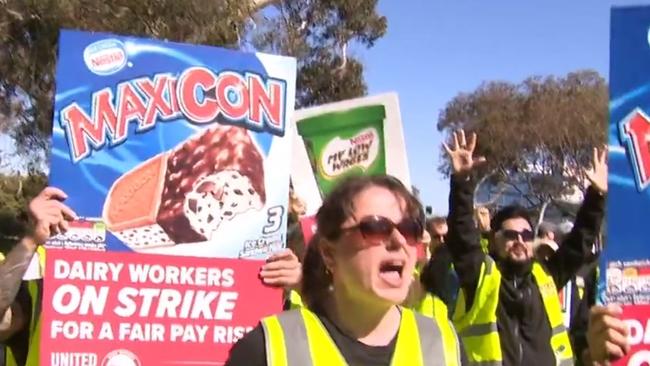 Dairy Workers during their 48 hour strike last week. Picture: 9News