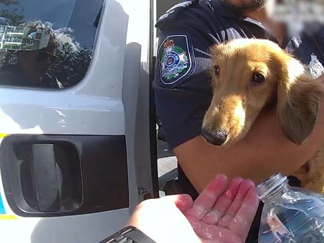 Duppy is helped by police officers. Picture: QPS