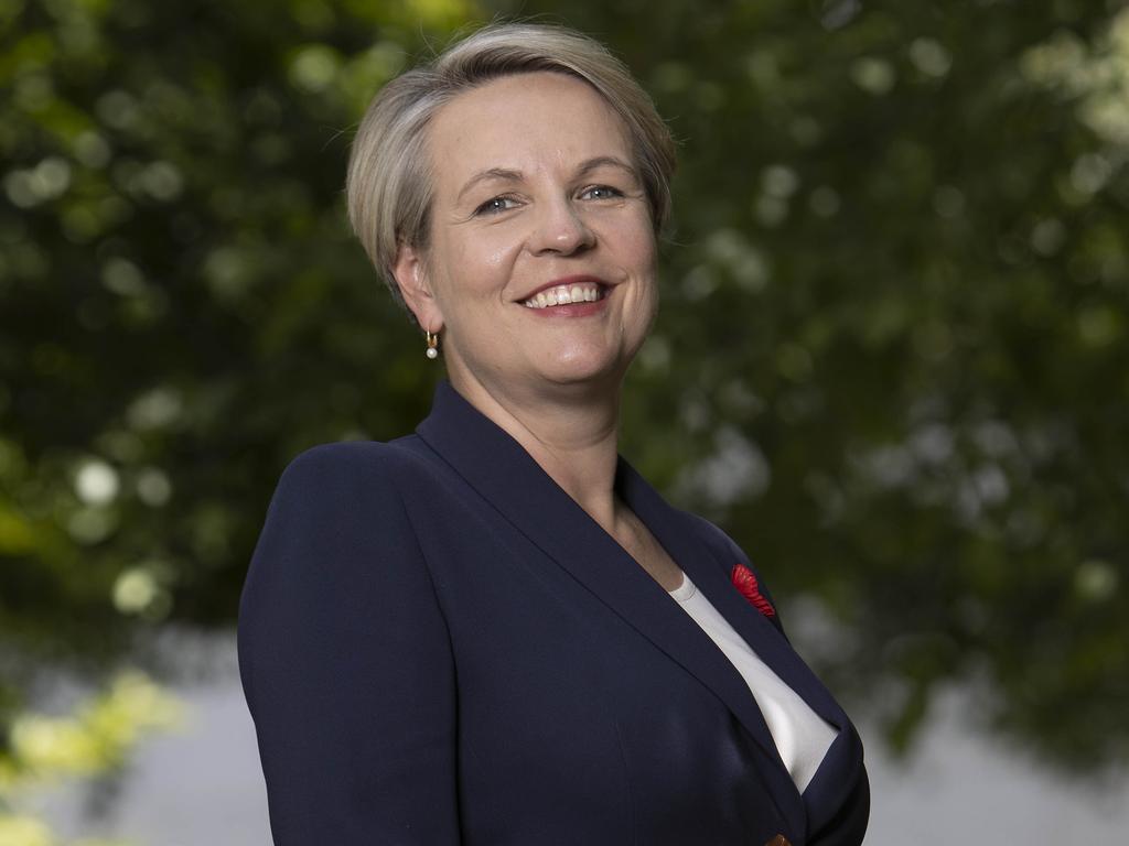 Tanya Plibersek has been touted as a potential Labor leader, but says Anthony Albanese will lead the party to the next election. Picture: NCA NewsWire / Gary Ramage