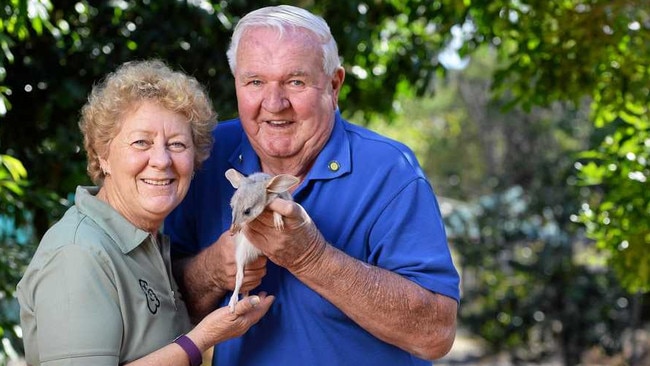 Ipswich Koala Protection Society president Ruth Lewis and Frank Manthey. Picture: Rob Williams / The Queensland Times