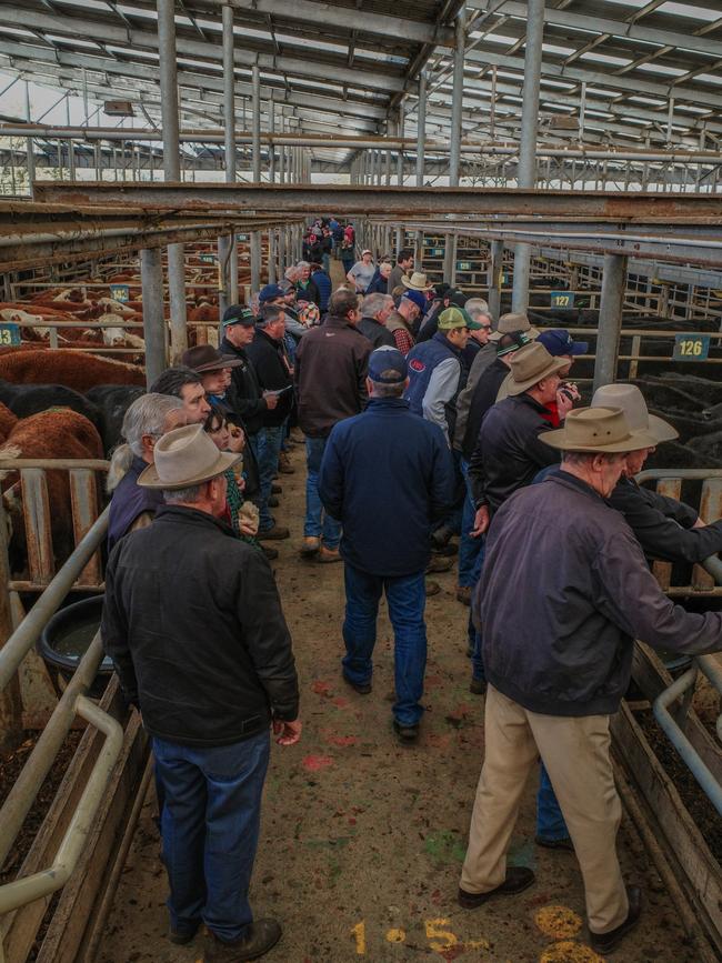 The jam-packed yards at last week's Leongatha store sale. Picture: Madeleine Stuchbery