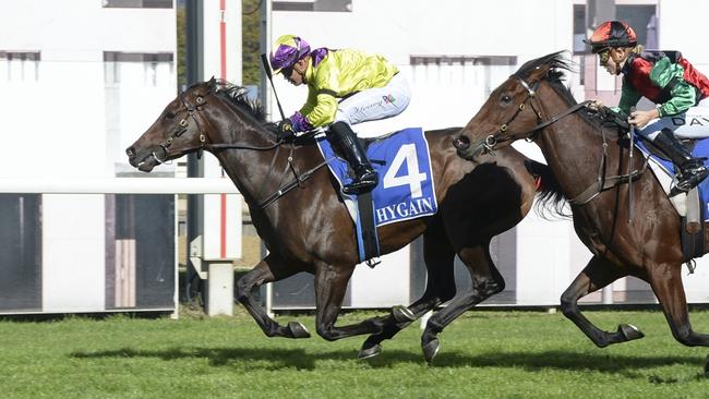 Code In Time, pictured winning at Canberra in April, is one of Shayne O'Cass's best bets on Monday. Picture: Bradley Photos