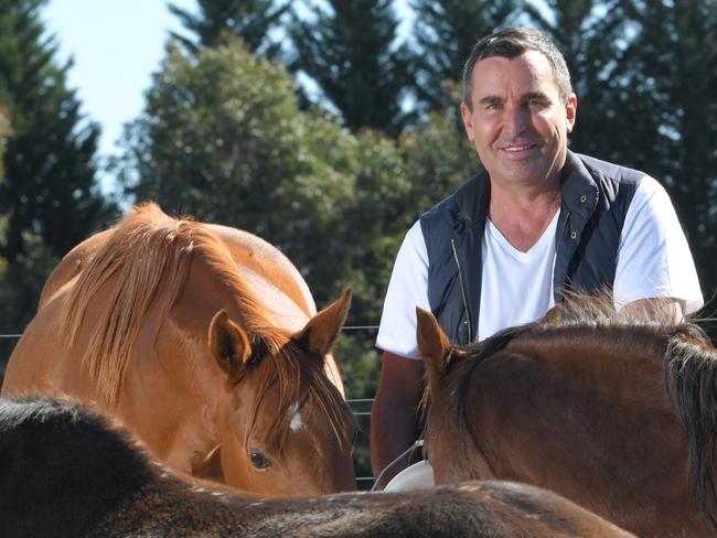 Celebrity hairdresser Joh Bailey at his 30 acre Bowral property. Feeding the English ponies.