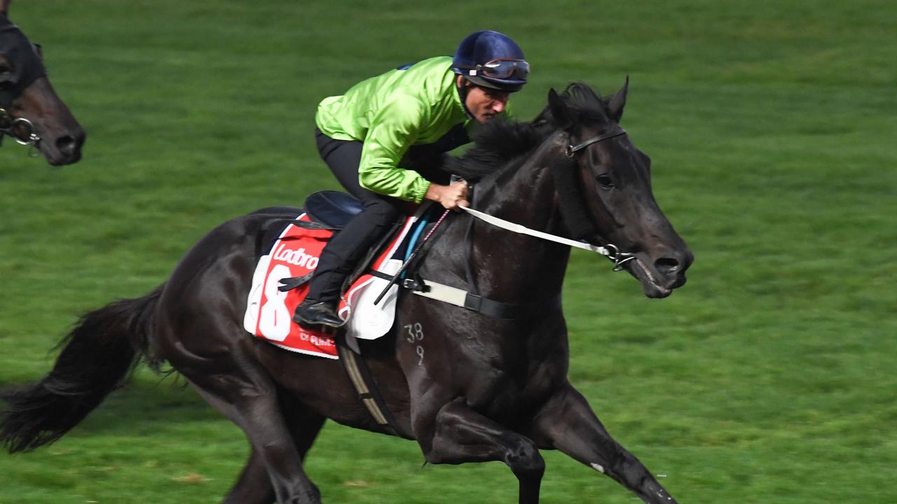 Damien Oliver is looking forward to riding Amenable in the Alister Clark Stakes. Picture: Racing Photos via Getty Images