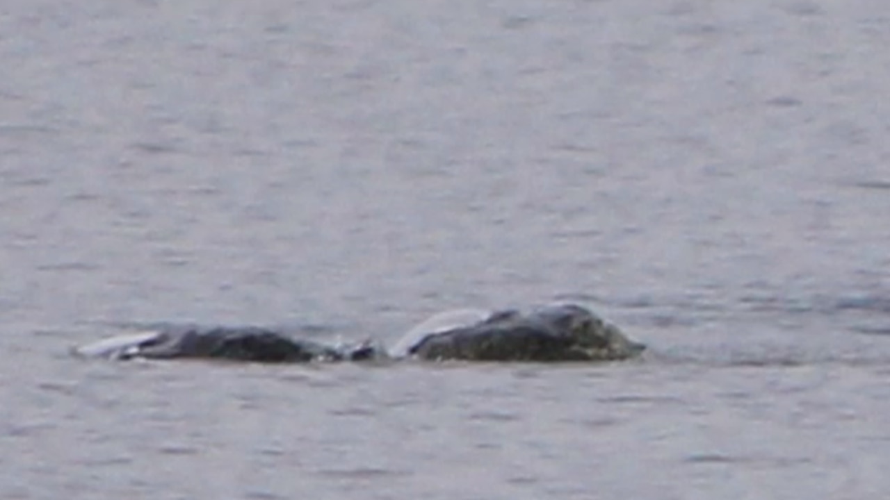 New photos released of possible Loch Ness monster | The Australian