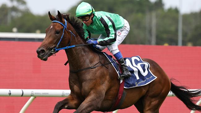 SYDNEY, AUSTRALIA - JANUARY 18: Kerrin McEvoy riding Shohisha  win Race 4 Midway during Sydney Racing at Rosehill Gardens Racecourse on January 18, 2025 in Sydney, Australia. (Photo by Jeremy Ng/Getty Images)