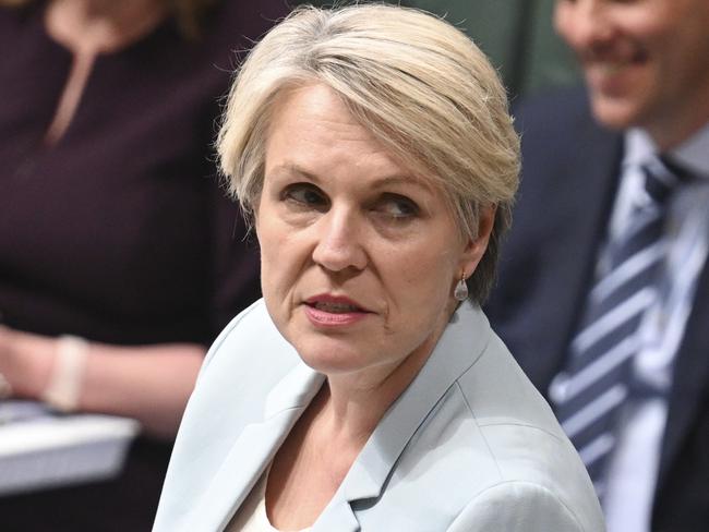 CANBERRA, Australia - NewsWire Photos - September 10, 2024: Minister for Environment and Water Tanya Plibersek during Question Time at Parliament House in Canberra. Picture: NewsWire / Martin Ollman