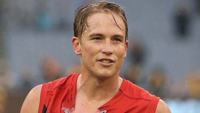 AFL Round 11: Hawthorn v Melbourne Bernie Vince Picture: Wayne Ludbey