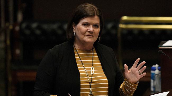 NSW Minister for Local Government, Shelley Hancock encourages residents to vote in the local government elections. Picture: Bianca De Marchi