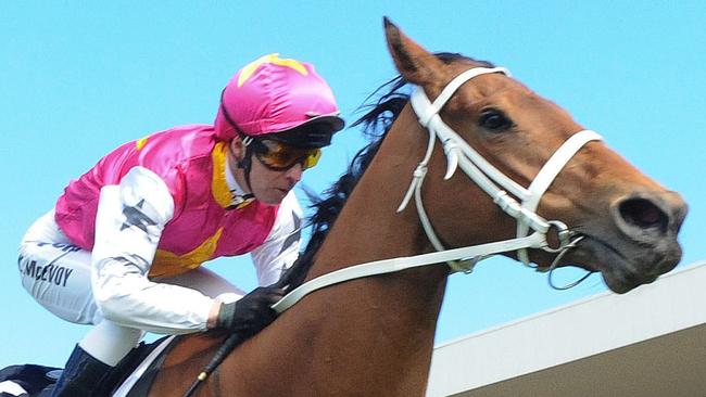 Could Haut Brion Her lay claim for a spot in The Everest at Rosehill on Saturday?