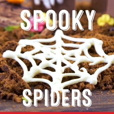 Chocolate webs and spiders