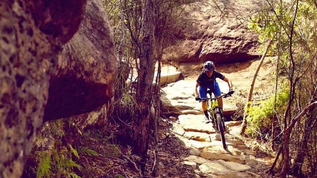 Trails at Westleigh Park and Hornsby Park have long been a popular spot for mountain bikers because of its mix of beginner to technical tracks.