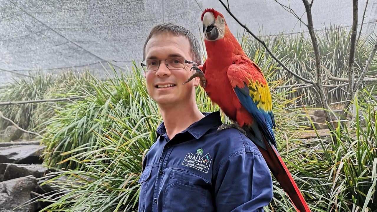 Maleny Botanic Gardens and Bird World general manager Gareth Shipp.