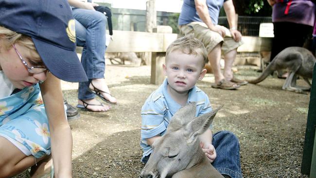 Liam McEvoy, 2, from Quakers Hill on Australia Day 2007. Picture: Isabella Lettini