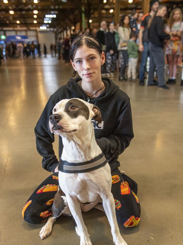 Imogen MacAlpine with PTSE service dog Domino. Gunfire breakfast at The Goods Shed on ANZAC DAY. Tuesday, April 25, 2023. Picture: Nev Madsen.