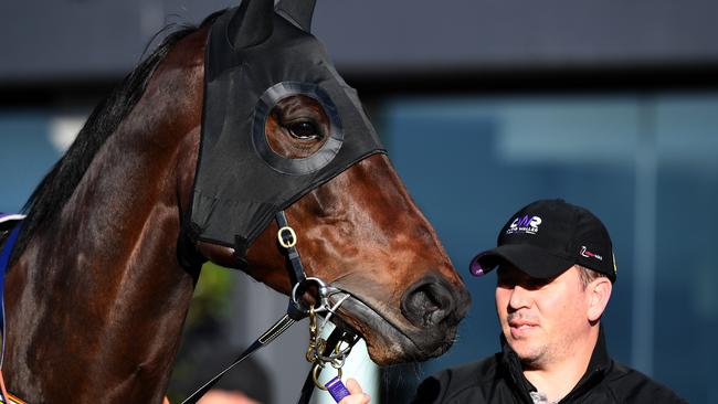 Winx is in great shape for her return at Royal Randwick on Saturday. Picture: AAP