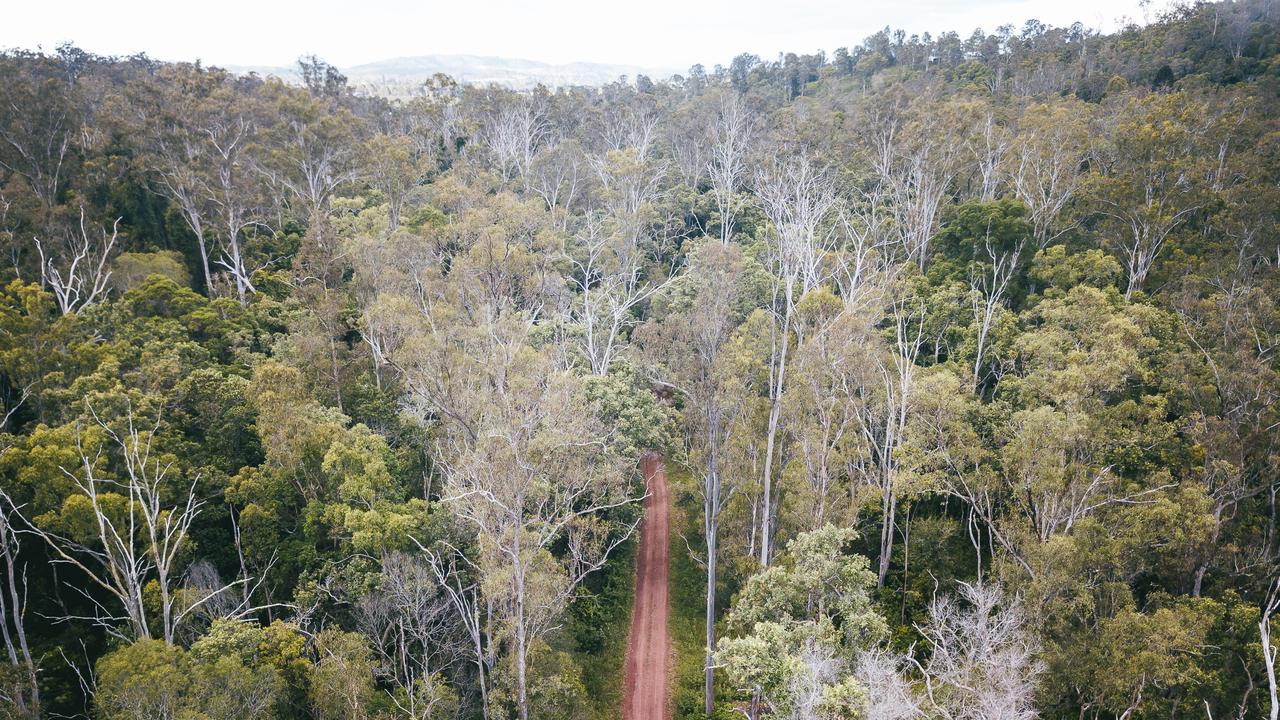 The state government will dedicate more than 12,000ha of land currently declared as state forest as national and conservation park. credit: Alex Spurway escape 5 september 2021 destination maryborough gympie