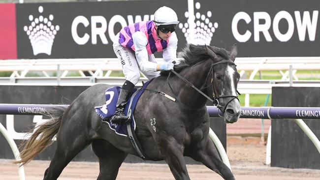 Sghirripa wins the Standish Handicap at Flemington. Picture: Brett Holburt-Racing Photos