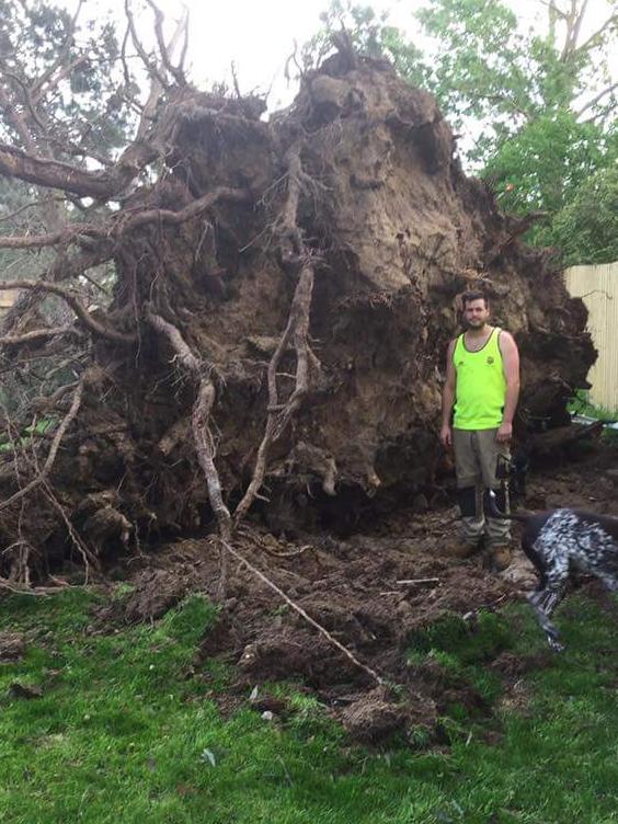 Storm damage in Lilydale captured by resident Nicole Andrew. Picture: Supplied.