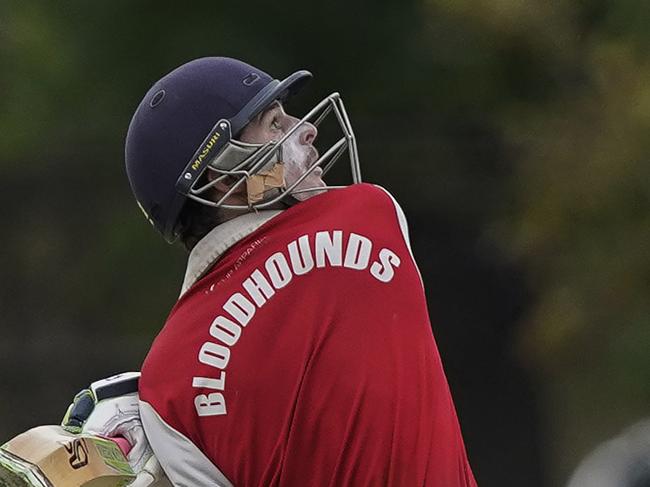 Two Bloodhounds off to Premier Cricket