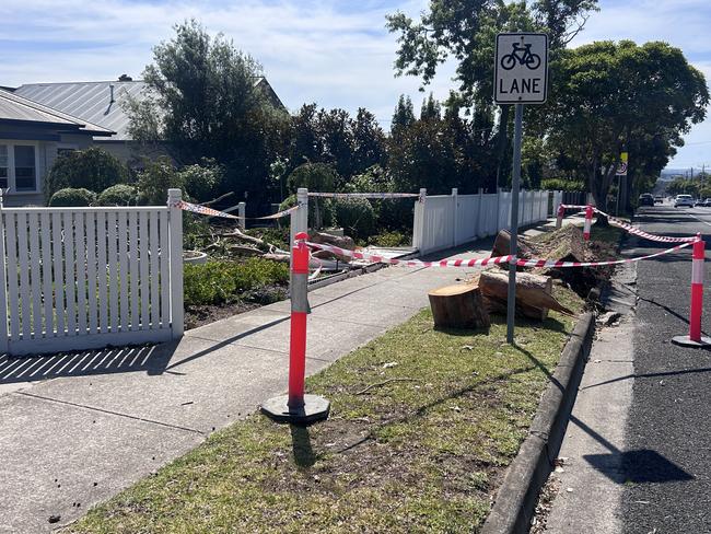 Damage following Geelong's wild storm weather.