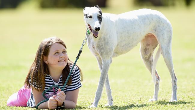 Keira, 10, with Hannah, is happy her greyhounds no longer are required to wear muzzles. Picture: Lawrence Pinder