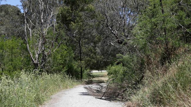 Fires have blazed through the grasslands already in 2009. Picture: George Salpigtidis