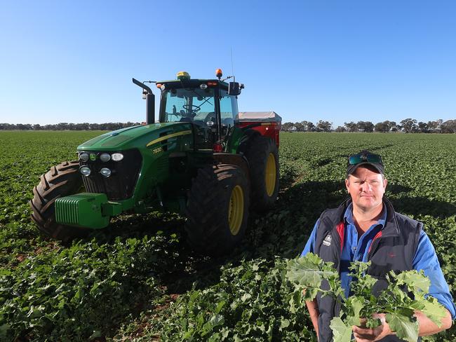 Glen Bunnett, with his canola crop, Derby,  Picture Yuri Kouzmin