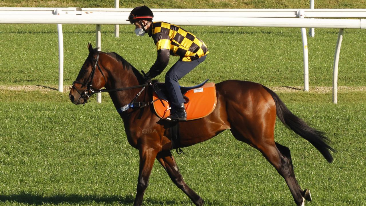 Randwick Barrier trials