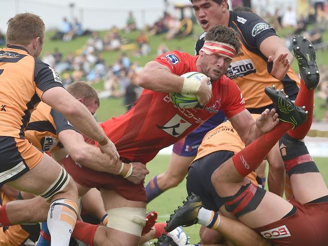 Stolberg scores a try against the ACT Brumbies at the weekend.