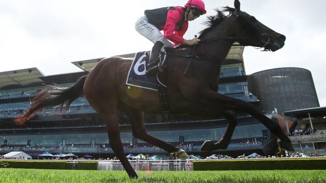 SYDNEY, AUSTRALIA - NOVEMBER 05: (EDITORS NOTE: Image taken using a remote camera.) Jason Collett riding Gallant Star wins Race 6 The Barn Dance during Sydney Racing at Royal Randwick Racecourse on November 05, 2024 in Sydney, Australia. (Photo by Jason McCawley/Getty Images)