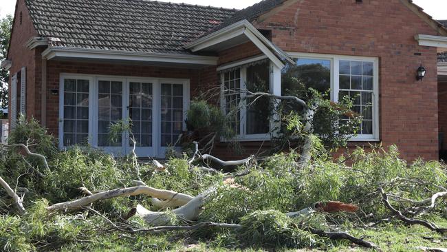 This house on corner of Howard Tce, Hazelwood Park, had a lucky escape after a branch fell. Picture Dean Martin