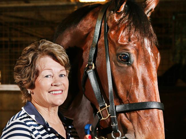 Trainer Helen Page with Rudy the racehorse in the stables before the Prime Ministers Cup day at the Gold Coast Turf Club. Picture Glenn Hampson (Anna's dress by Roksanda, Turban by Anna and Fleur, Shoes by Gucci)