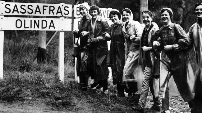 Holiday makers at Ferntree Gully in 1956. Picture: ARGUS COLLECTION