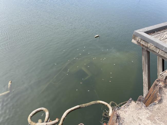 The sunken vessel has remained underwater for several months despite Port Pirie Regional Council’s efforts to bring it to the surface. Picture: Isaac Selby