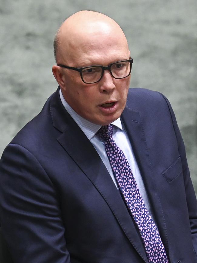 Opposition leader Peter Dutton. Picture: NCA NewsWire/Martin Ollman