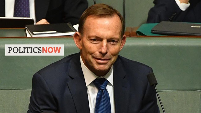 Former PM Tony Abbott has told Australians to “vote no” in the gay marriage people’s vote if they don’t want change or “political correctness”.