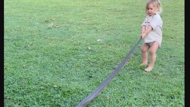 Legendary Territory croc wrangler Matt Wright’s two-year-old son, Banjo, grapples with an olive python, one of the largest snakes in Australia. Picture: Matt Wright