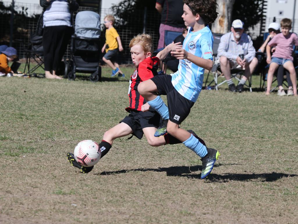 50+ Pictures: Junior Football Burleigh v Palm Beach | Gold Coast Bulletin