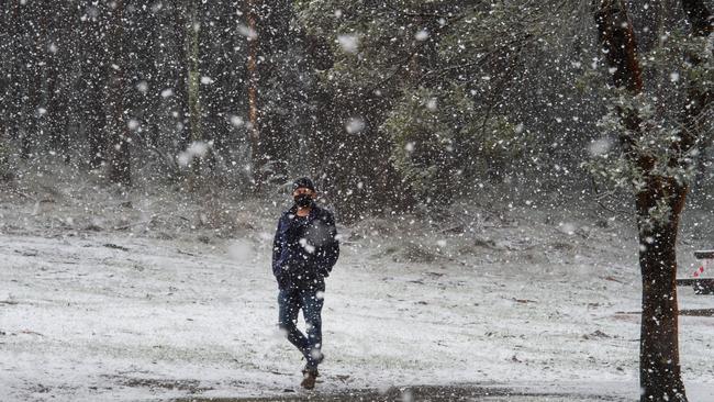 A man enjoys a walk in the snow at Mt Macedon. Picture: Jay Town