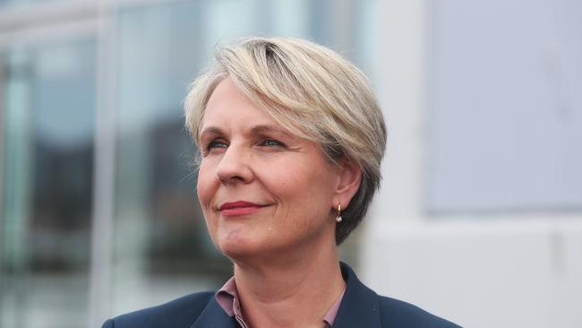 Environment Minister Tanya Plibersek.  Prime Minister Anthony Albanese in Hobart in relation to $188 million funding for Macquarie Wharf.  Picture: Nikki Davis-Jones