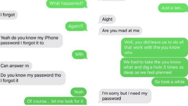 The text message conversation between the brother and the thief. Picture: Supplied.