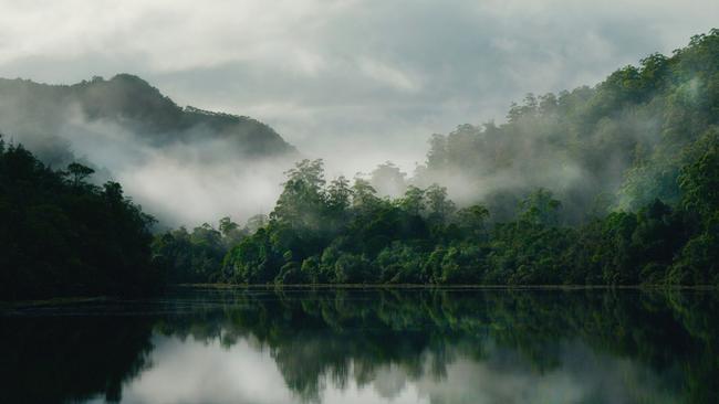 The still waters of the Pieman River, in the pristine Tarkine wilderness region, in the state’s far North West. Picture: Arron Hage