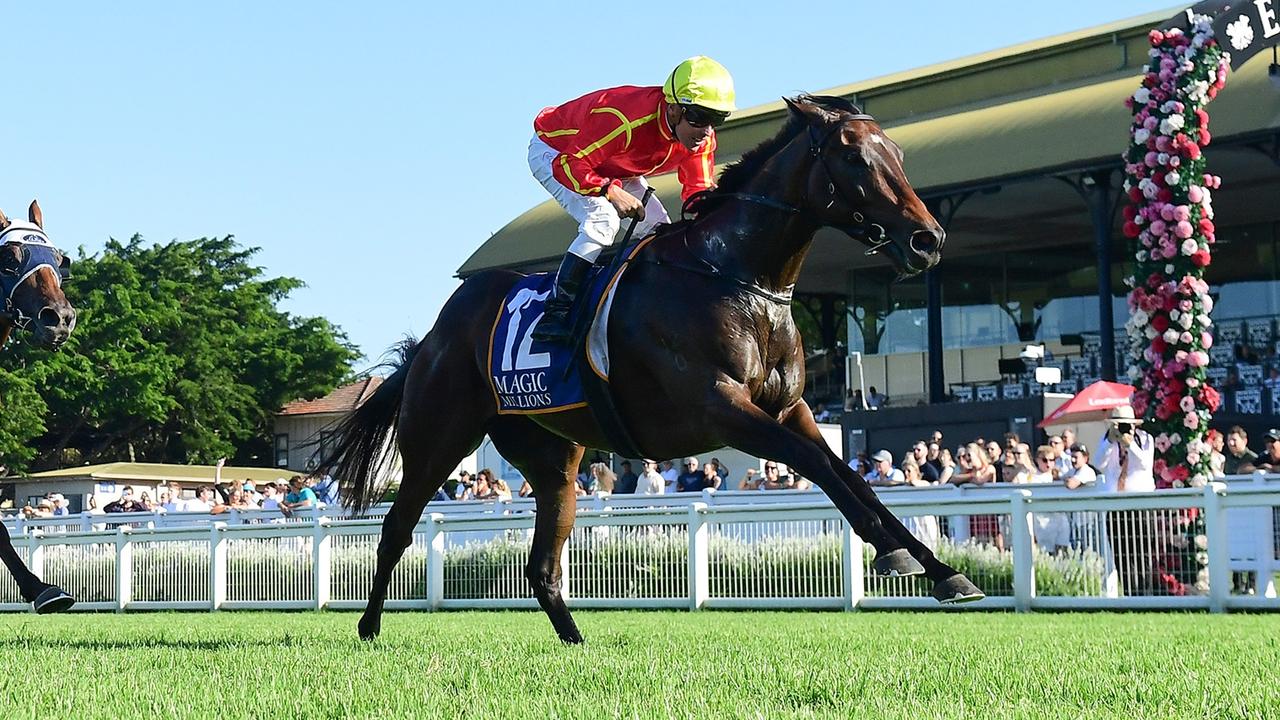 The exciting Transatlantic makes his return in The Archer on Sunday Picture: Grant Peters/Trackside Photography