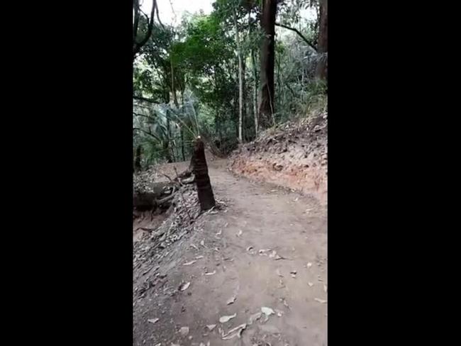 First look at the Wangetti Trail