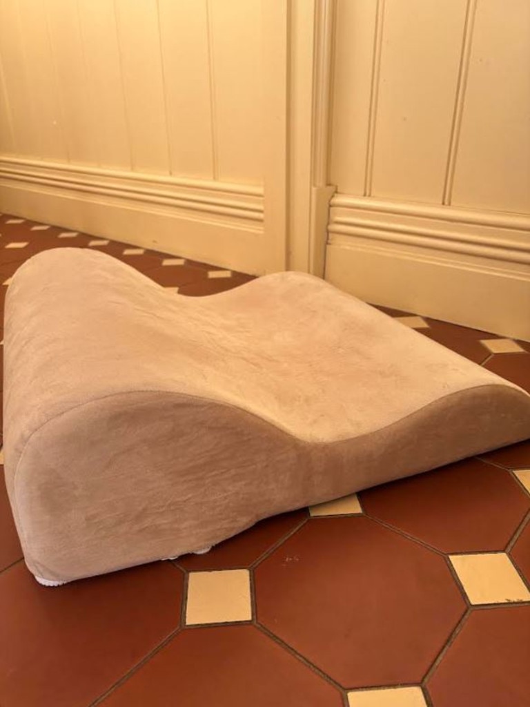 This pillow has changed my sex life. Picture: Laura Roscioli