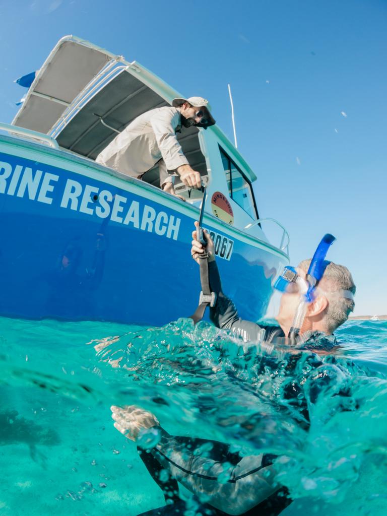 Minderoo scientists in the water in Exmouth WA. Picture: Supplied