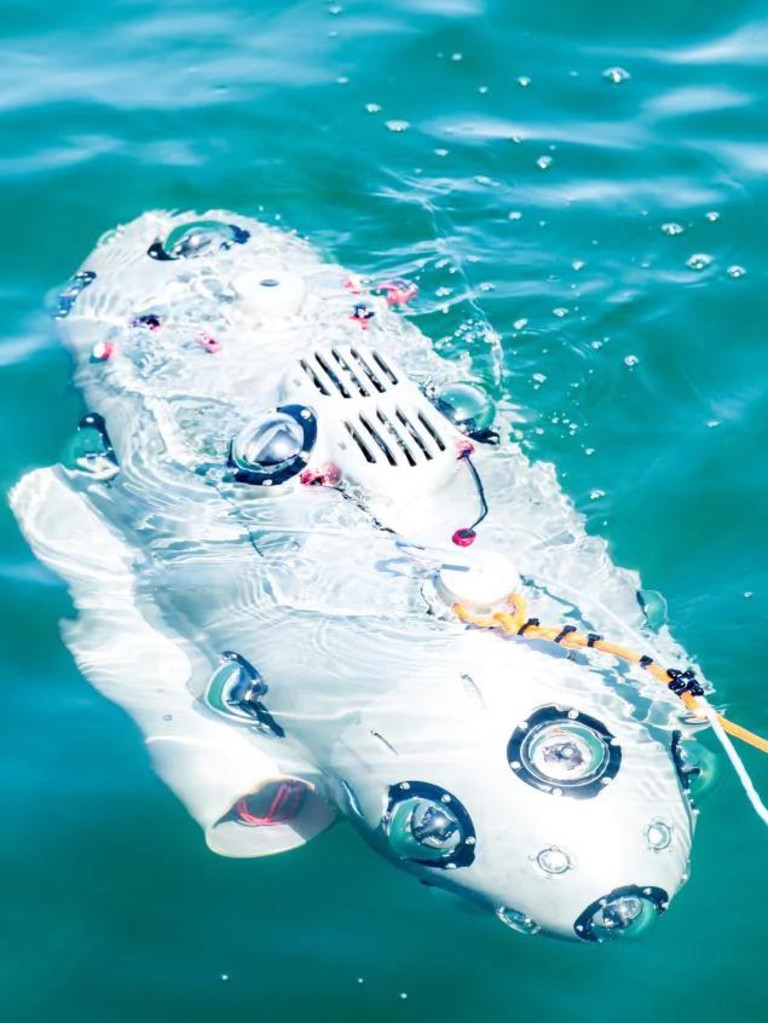Fitted with 22 cameras and other sensors, the autonomous mini-sub is designed to automatically return to its base when it needs a battery recharge.