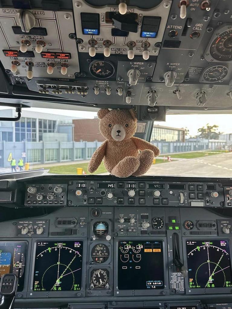 The bear was also granted cockpit access. Picture: Facebook